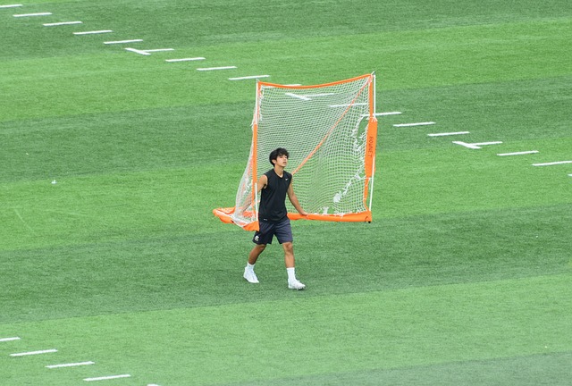 要的不仅是
